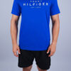 CAMISETA MASC BIG RWB HILFIGER TOMMY HILFIGER