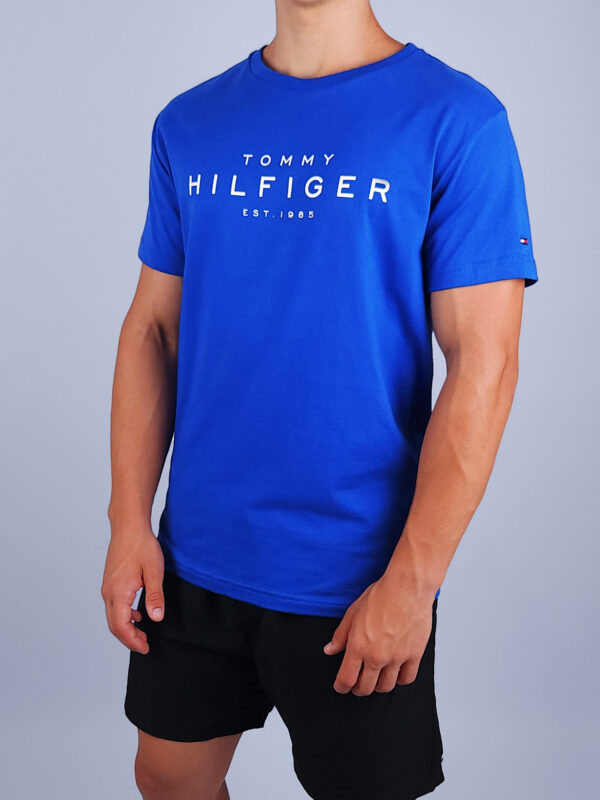 CAMISETA MASC BIG RWB HILFIGER TOMMY HILFIGER - Image 4