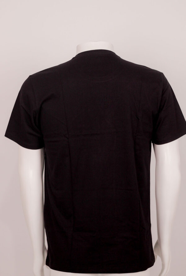 CAMISETA MASC MC CONCEPT SLIM DEC OGOCHI - Image 2