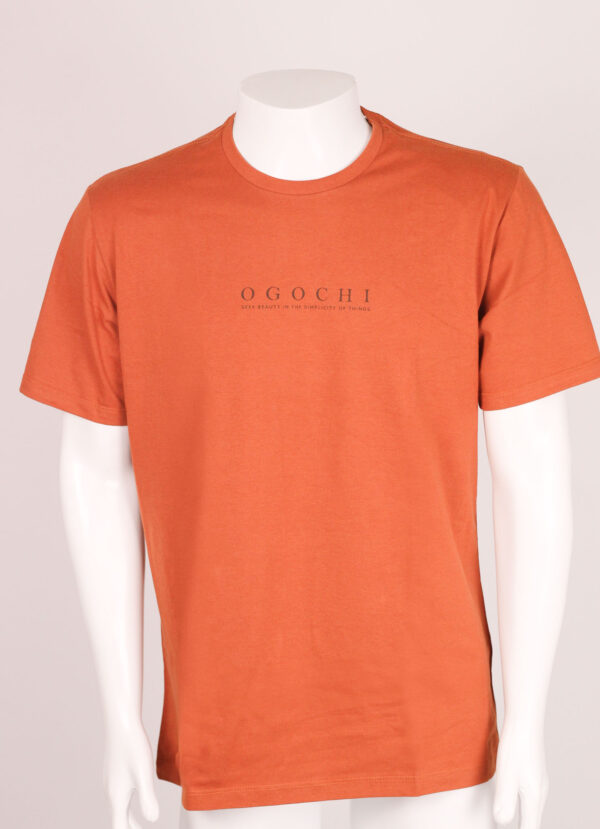 Camiseta Masculina Concept Slim Dec Ogochi