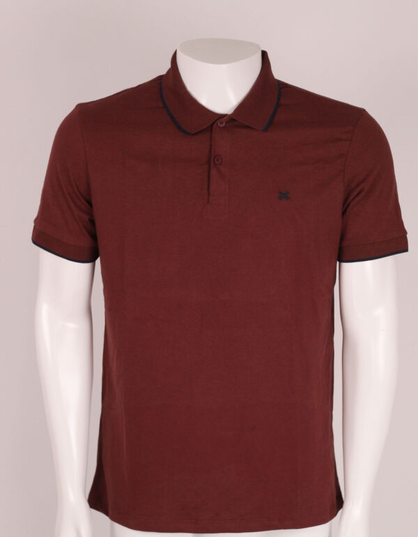 Camiseta polo Hering